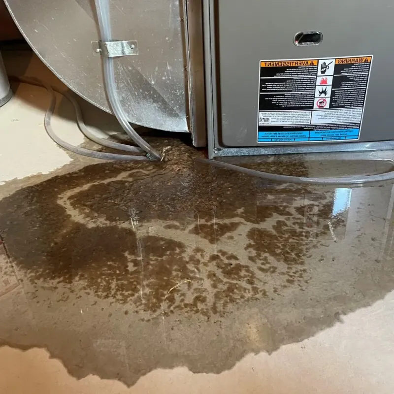 Pipe Burst and Leak Restoration in Lower West Side, IL
