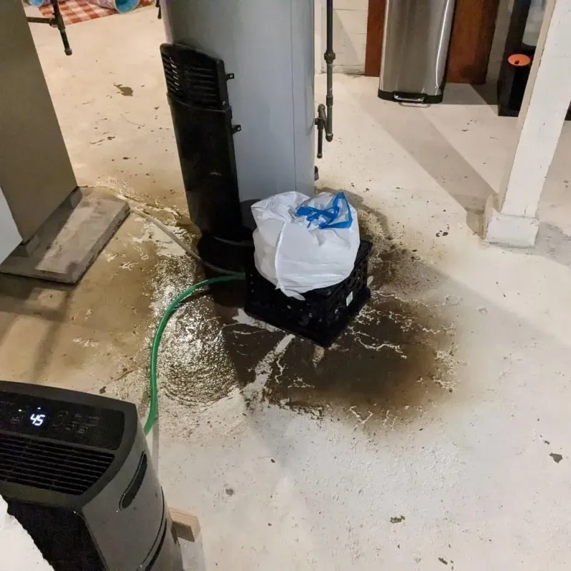 Sewage Backup Cleanup Service in Lower West Side, IL